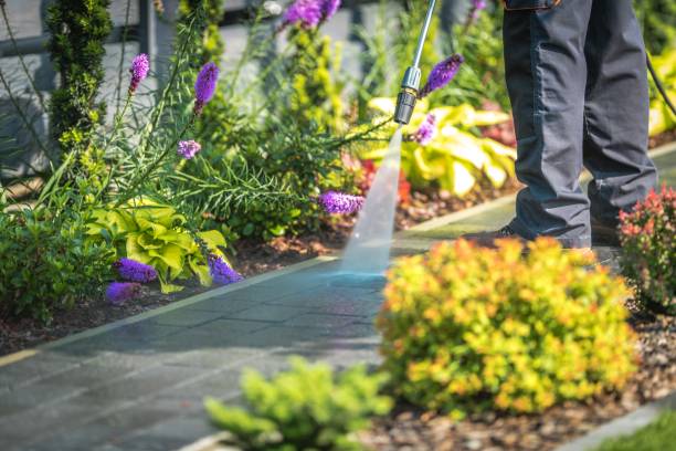 Best Driveway Pressure Washing  in Addison, WV